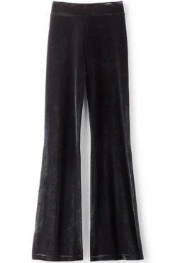 Gianna Velvet Bootcut Pants Pants
