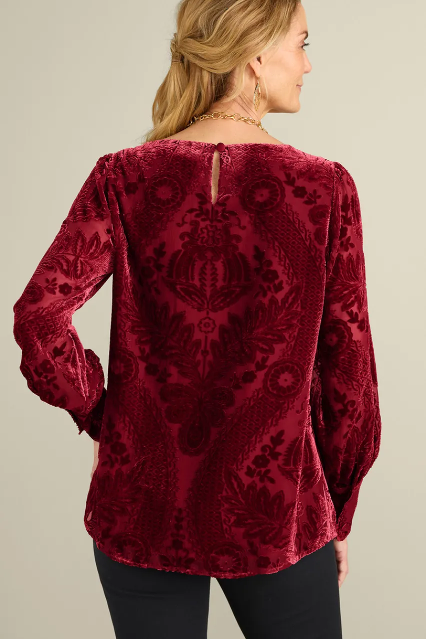 Clearance Vanetta Velvet Top Tops